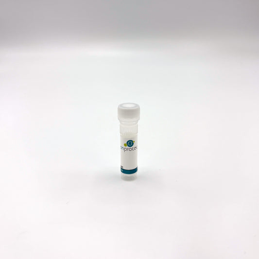 Human FGF-2 basic recombinant