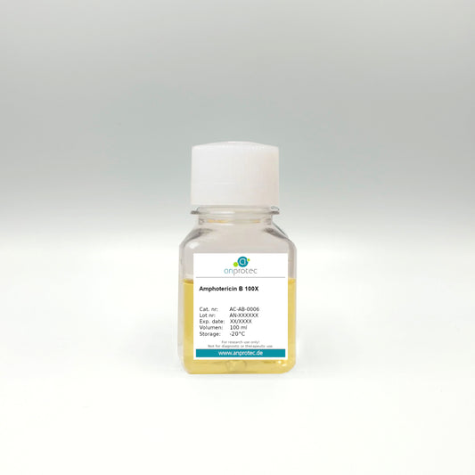 Amphotericin B 100X